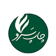 مشاور کسب و کار اینترنتی 17 اتساین وب chapesarvlogo